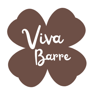 Viva Barre | Non-Slip Pilates & Yoga Socks & Barre+ Accessories